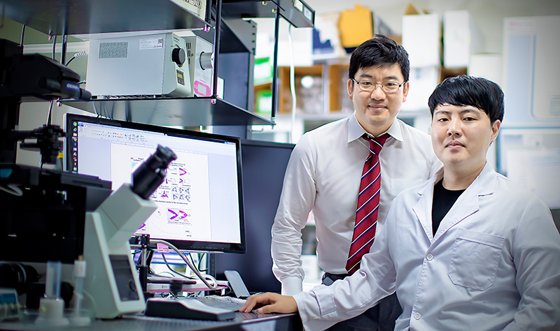 경희대 전자공학과 박욱 교수 연구팀, 먼지 크기의 소금쟁이 로봇 개발 (2021.8)